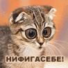Счастье